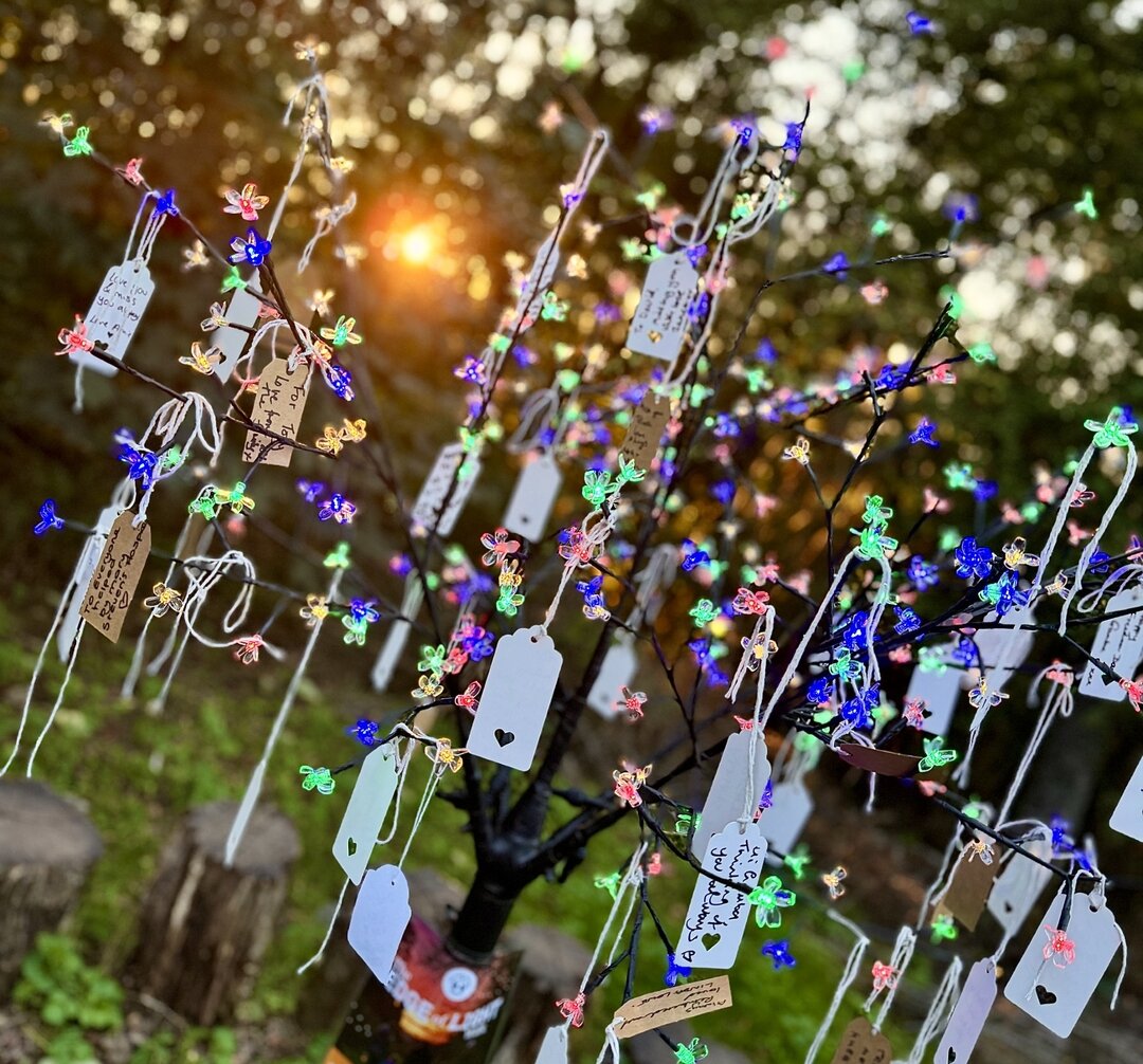 a tree in the sunset with hanging pieces of paper, with peoples memories written on them