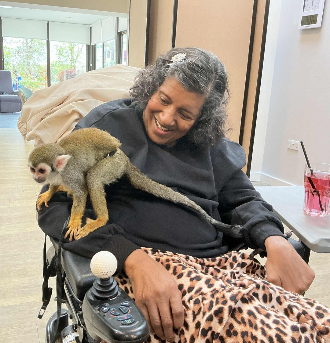 patient with monkey