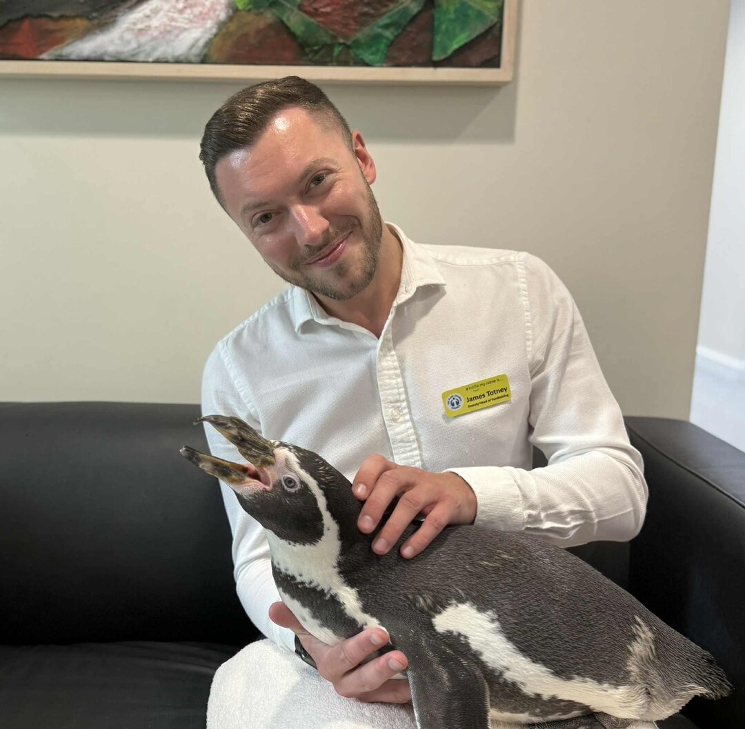 staff member with penguin
