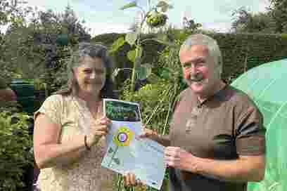 Sunflower Growing Competition 2026