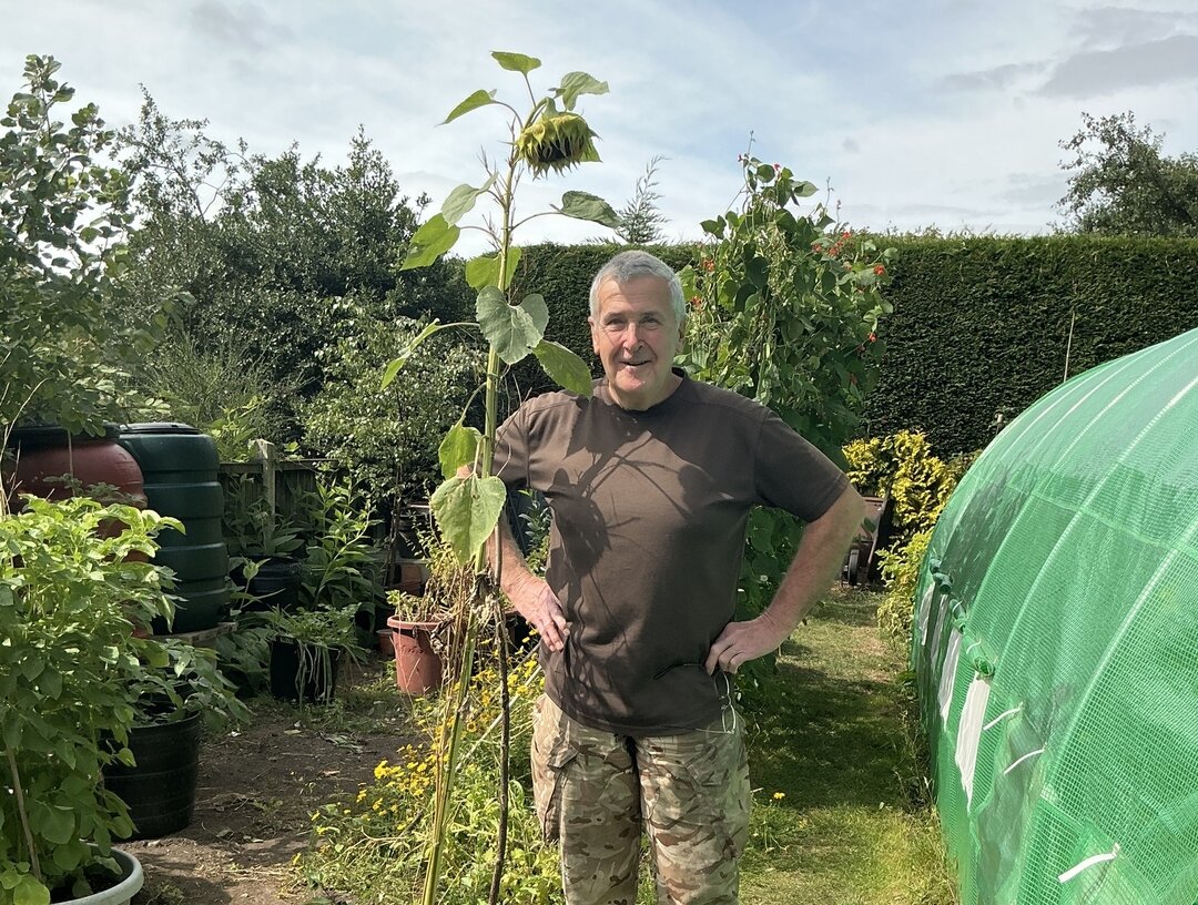 a man standing next to a very tall sunflower. he is standing in an allotment