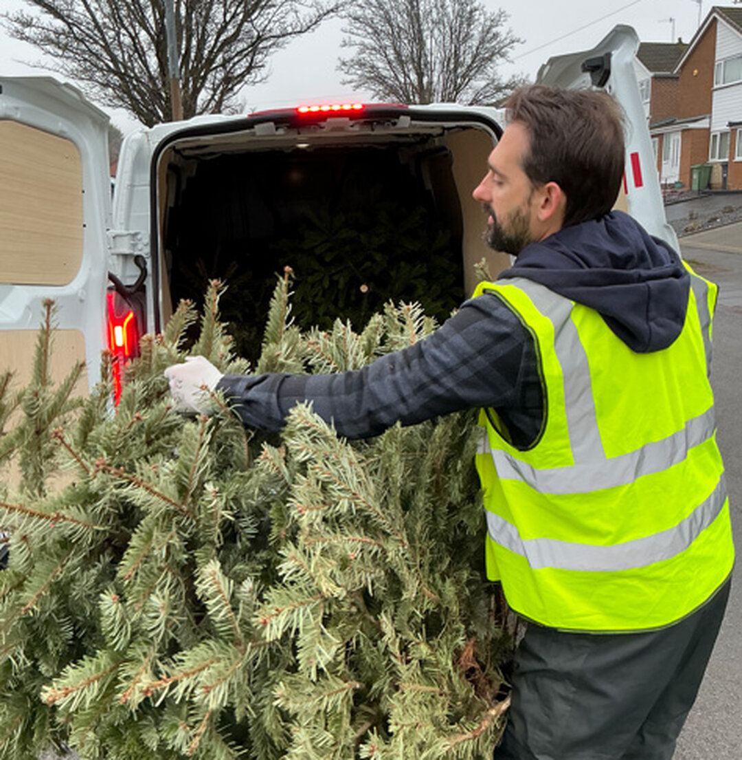 treecycle volunteer with tree