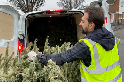 Volunteer putting tree into van
